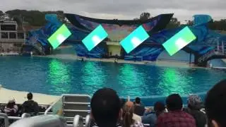 Sea World San Diego shammu show