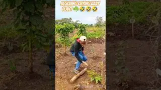 baby cry prank #funny #crypto #plants #pranking #iphone