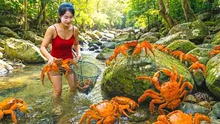 A Bountiful Crab Harvest: Catching Giant Crabs in the Forest Stream & Go To Sell At Local Market 🦀