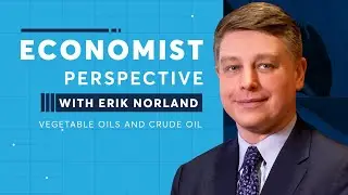 Economist Perspective: Vegetable Oils and Crude Oil