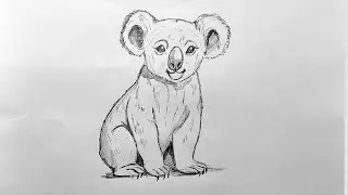 تعلم رسم كوالا واقعي بالرصاص خطوة بخطوة Realistic Koala Drawing ✏️🐨 | Pencil Art