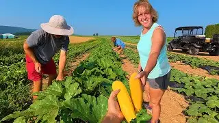 The Truth About Where Your Food Comes From