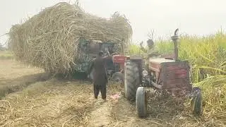 SUGARCANE TROLLEY PULLING OUT #tractorvideo #sugarcanetrolley #viralvideo #farming 