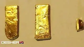 Smuggler arrested with gold bars in Jessore