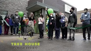 Tree House Humane Society | social media cut down 7