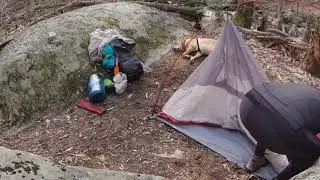 Backcountry camping set-up with dog in Shenandoah