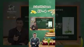 Knowledge Powerhouse Official Channel Biological Terms For Grade 12 Students Episode - 4