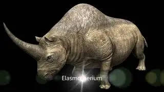 Jurassic World Alive All Creatures (Rare)
