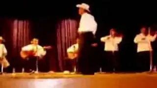 Hermanos Tavira Musica de la Tierra Caliente Mexico