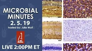 Health-promoting gut microbiota and a virus that attacks cancer - Microbial Minutes