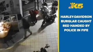 BREAKING: Harley-Davidson dealership thief caught