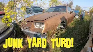 1976 Buick Skyhawk Field Find Turd. Junkyard Walkaround.
