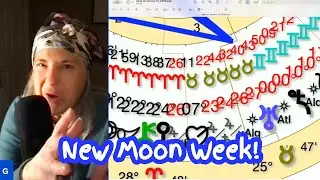 week of January 12, 2026🪐 New Moon Week!