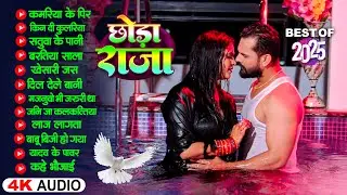 2026 भोजपुरी के हिट गाने छोड़ा राजा | Nonstop Best Hit Bhojpuri Songs | Shilpi Raj | Bhojpuri Gana