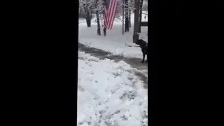 Nordic Plow Perfect Shovel - the BEST Snow pusher on the market!