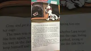 Spy Dog