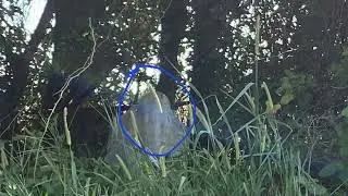 Ancient Graveyard Reveals Haunting Rainbow and Ghostly Presence