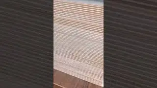 We inspected full birch plywood ,WBP Glue ,FSC certified,CARB E0 for Canada and Australia Markets