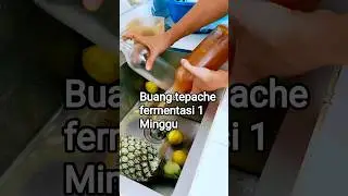 karena beralkohol akhirnya di buang#tepache#minuman#fermentasi