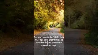 Best Autumn Quotes