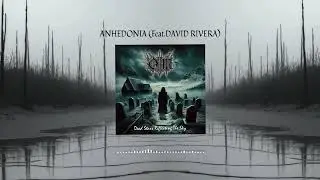 OM - Anhedonia