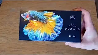 Drobny prezent dla akwarysty - Puzzle z bojownikiem