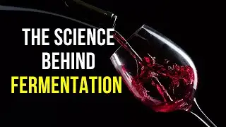 THE SCIENCE BEHIND FERMENTATION | HOW YOGURT AND OTHER FERMENTED FOODS ARE FERMENTED | #fermentation