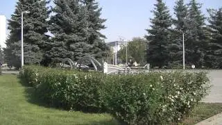 Dima's flyroll
