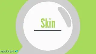 Skin