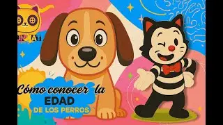 🎩🐕&iquest;Qu&eacute; edad tiene tu perro en a&ntilde;os humanos? 🐶 | Felikat el Mimo te lo ense&ntilde;a