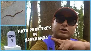 Everything you need to know about the Hatu Peak Trek in NARKHANDA - Shimla - India Travel