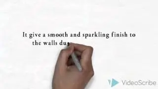 BCC Wall Care Putty