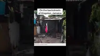 Chris Gayle's journey 🇯🇲