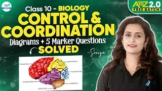 Control & Coordination Class 10 | Diagrams + 5 Marker Questions Solved | CBSE Board Preparation