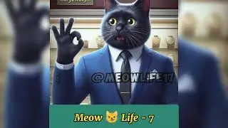 Meow Life  - 7 || aimeow #aimeowsong #aimeowcover #aimeowcat #cat #aimeowland #aimiawchannel