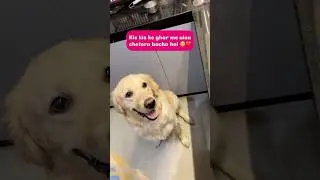 Comment 🤣 Whose house is this hungry? | Daily Life of Indians