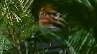 Jackal The Bear - For Real - official music video
