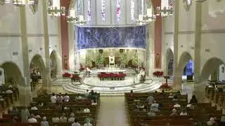 Holy Mass | The Nativity of the Lord (Christmas) | The Cathedral of St. Mary - Miami, FL.