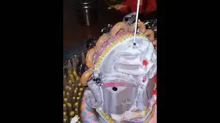 Mahakal singar.. Savan mash ki shivji Abhishek..🙏🙏🙏