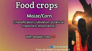 Food crops | Maize | Zea mays | Classification | Cultivation | Botanical characters | Importance |