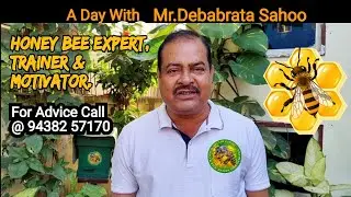 Art Of Beekeeping (Part- 1)| Nectar Odisha | Bee Farm In Odisha | ଓଡ଼ିଶା ର ମହୁ ଚାଷ |