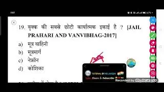 वृक्क की सबसे छोटी कार्यात्मक इकाई है ?
