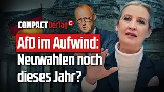 AfD im Aufwind: Neuwahlen noch dieses Jahr?💥