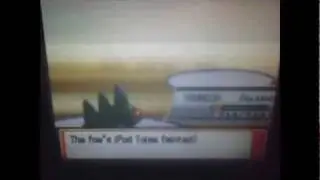 pokemon heartgold wifi battle #2 shadowstorm vs. goldrules2