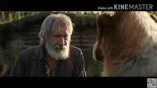 Call of the Wild Best scene #callof the wild#movie clip#adorable pets tv