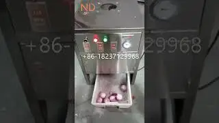 200kg per hour  onion skin peeling machine onion skin peeler removing machine