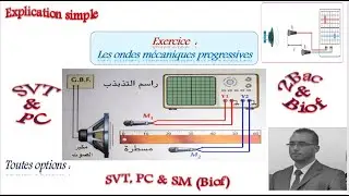 Séries  2Bac Biof : Exercice,  Ondes mécaniques progressives ( Son)