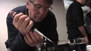 Watch this GenSpace - by Nature Video