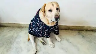 Susu ek humble request 😂 | SourShy 