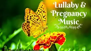 Blooming Spring Flowers Timelapse with Lullaby Music | tips EN trips